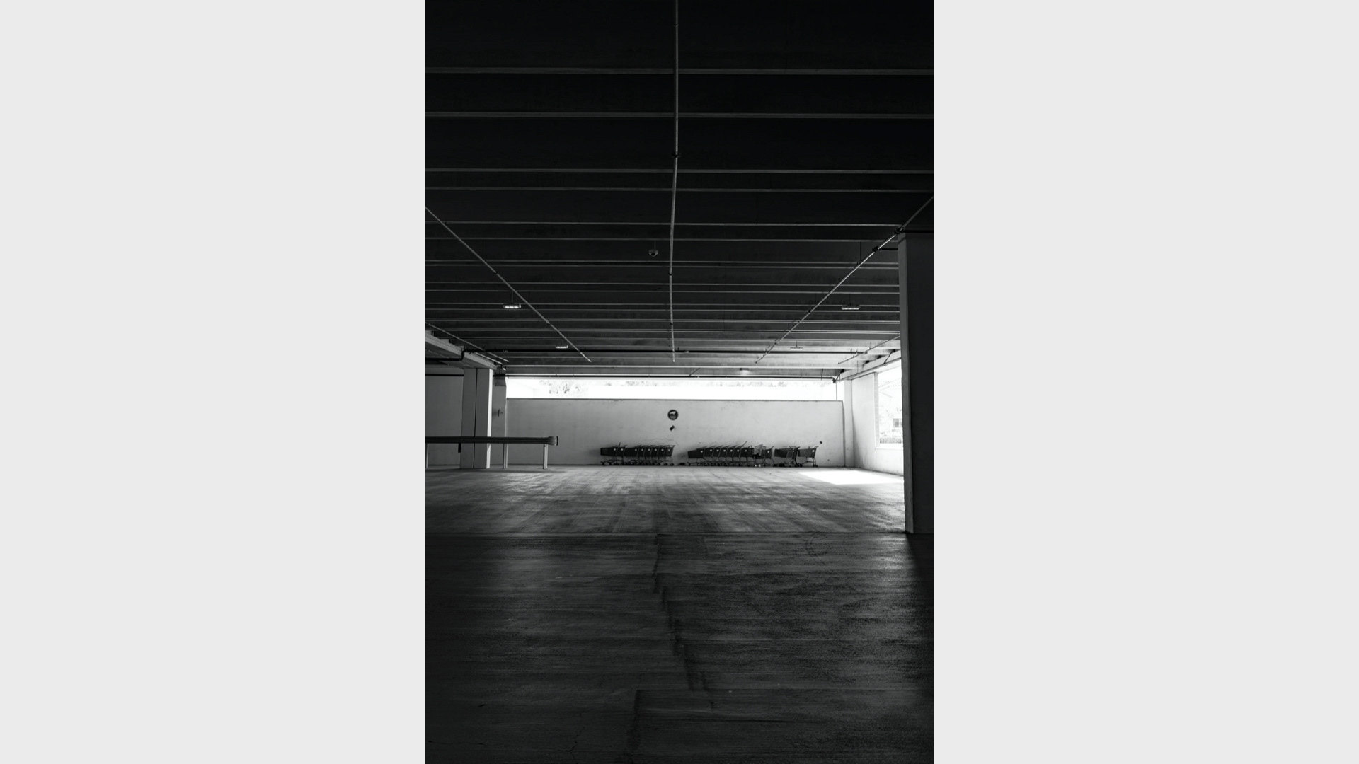 📸 Siliconless — image 7