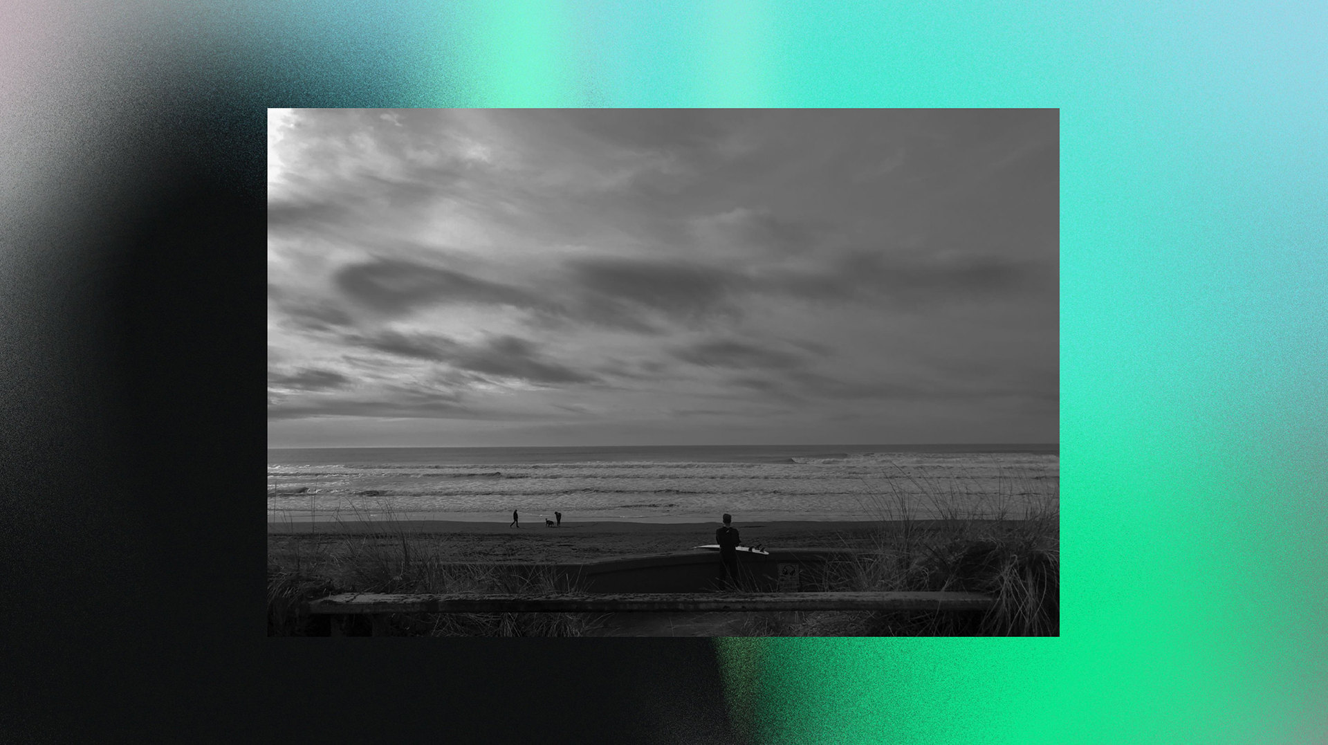 📸 Siliconless — image 35