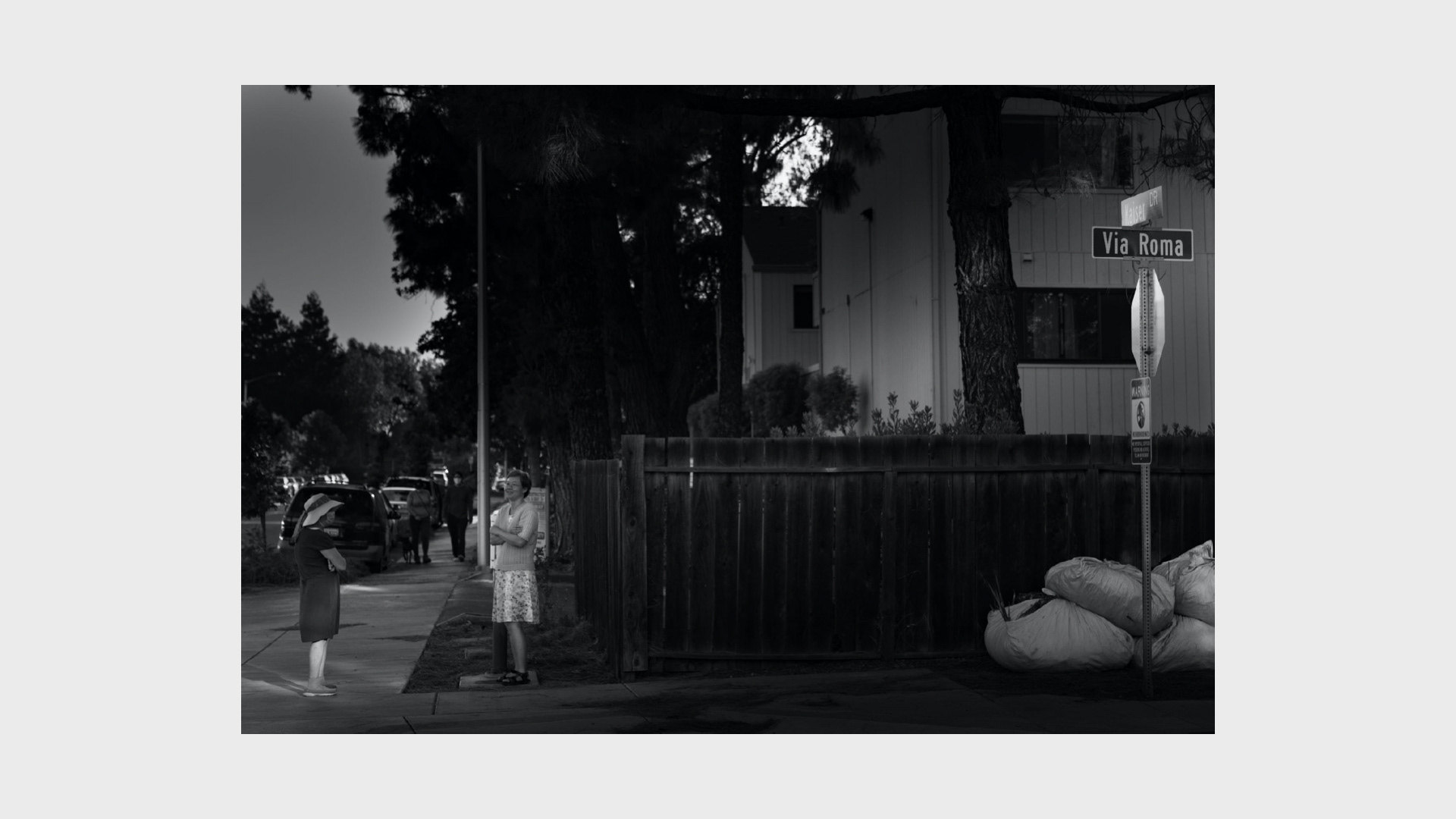 📸 Siliconless — image 26