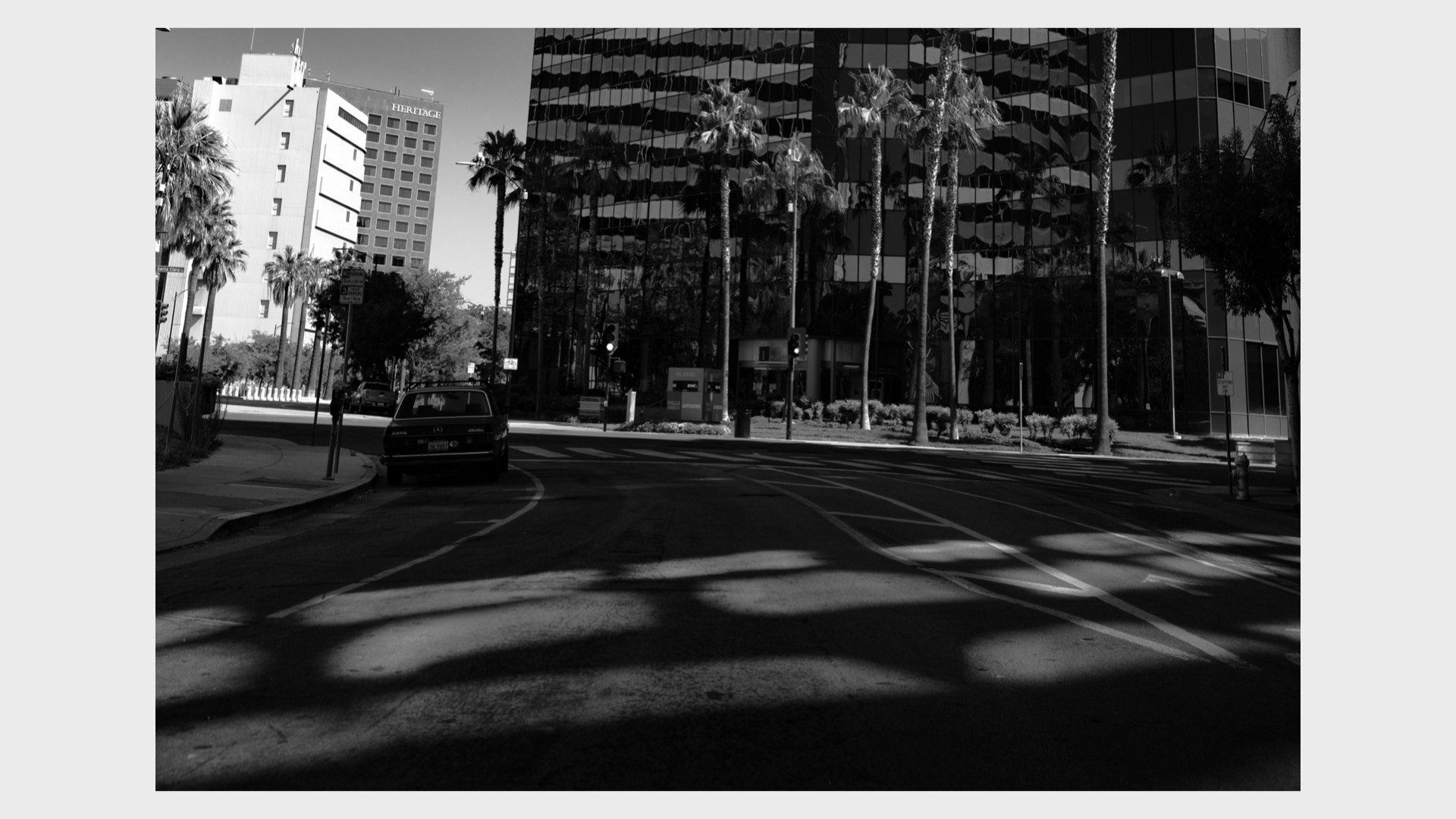 📸 Siliconless — image 27