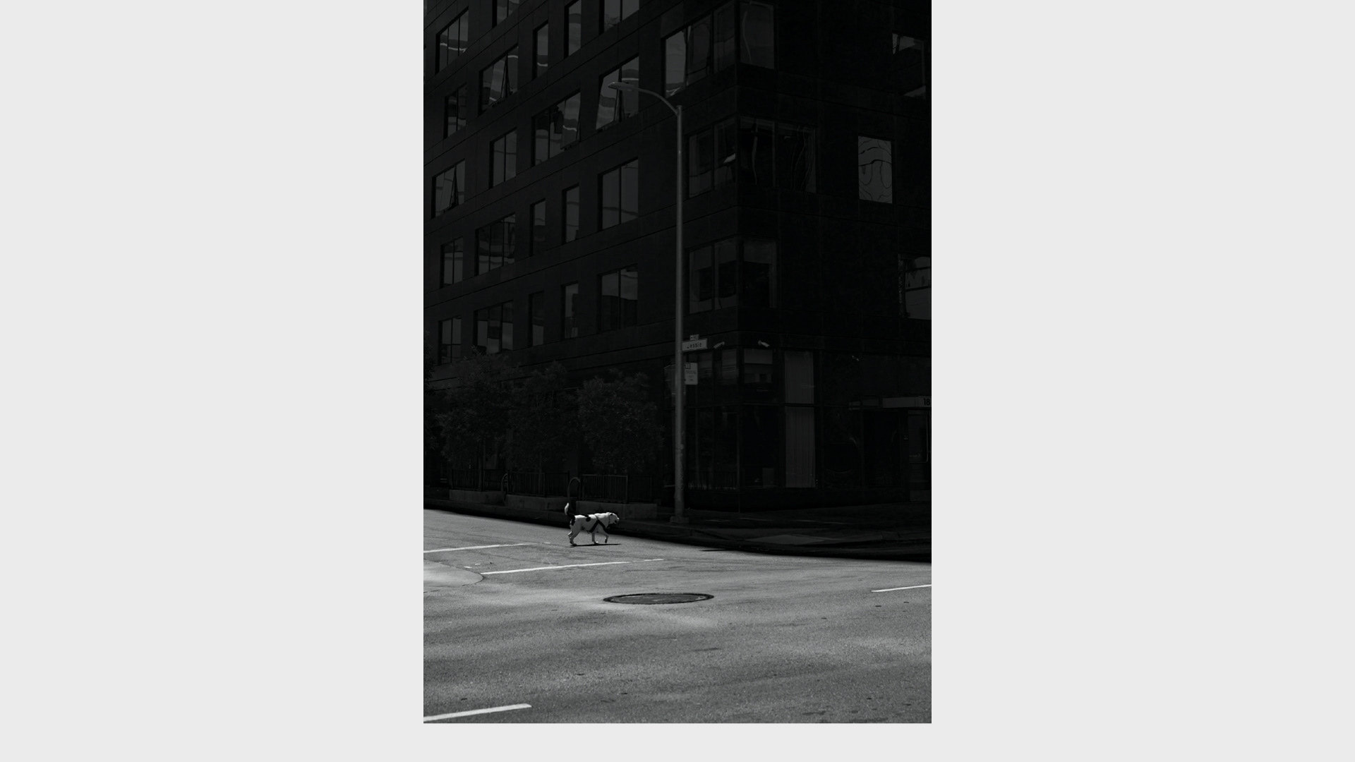 📸 Siliconless — image 13