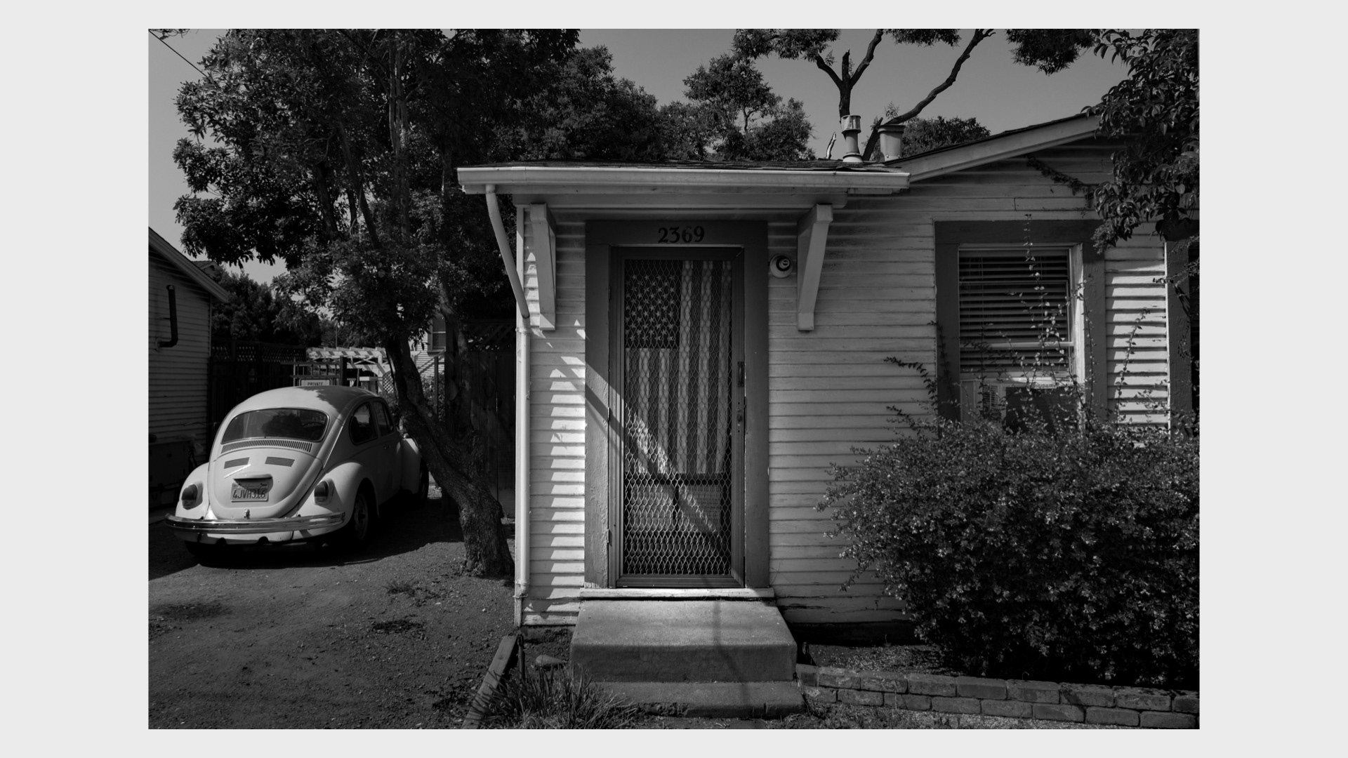 📸 Siliconless — image 29
