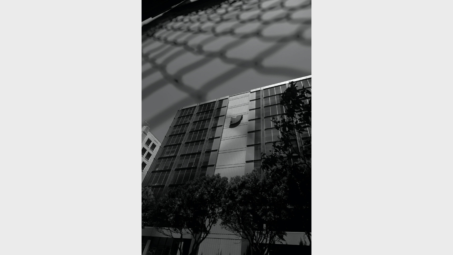 📸 Siliconless — image 3