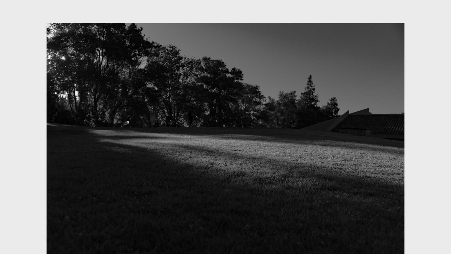 📸 Siliconless — image 25